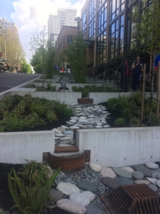 During a conference tour, Joan had the opportunity to visit several innovative stormwater projects like these cascading rain gardens. (Photo credit: Joan Smedinghoff)
