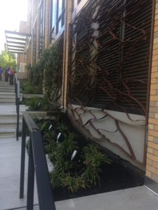 During a conference tour, Joan had the opportunity to visit several innovative stormwater projects like these living wall installations. (Photo credit: Joan Smedinghoff)