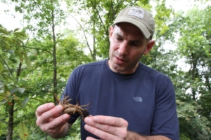 Bryan Brown inspecting a crayfish (VT)