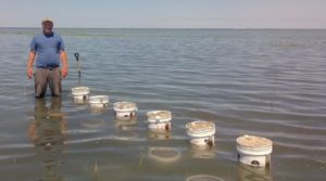 VIMS Assistant Professor Matt Kirwan on Hog Island, VA where he is simulating overwash fan deposition to measure the impacts of storms on marshes. Photo by David Walters.