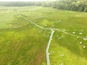 Overhead view of the marsh experiment. 