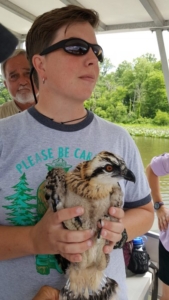 Karen McDonald, Education Program Coordinator for the Smithsonian Environmental Research Center, holds an osprey during a recent banding trip on the Patuxent River in Maryland. (Photo courtesy Karen McDonald)