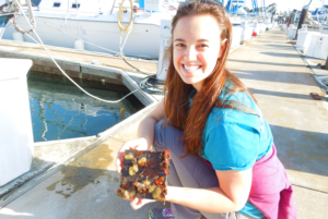 "SERC marine biologist Brianna Tracy holds a plate with marine life pulled from a dock in San Francisco. (Photo: Kristen Minogue/SERC)"