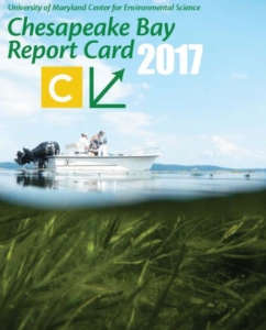 bay-report-card