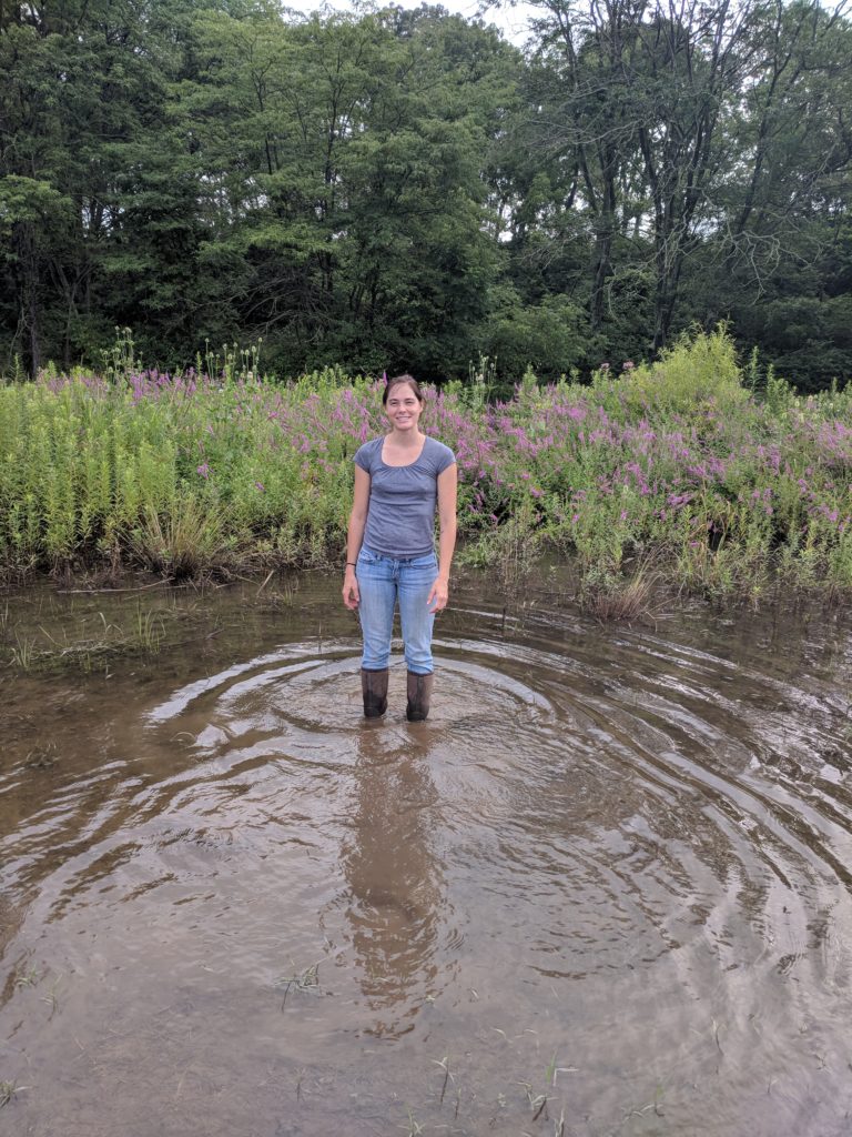 Herbstritt ankle deep in water on the edge of one of their field sites.