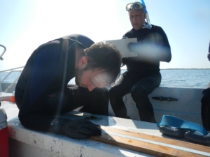 Lefcheck and JJ Orth measuring fish from trawls in South Bay.