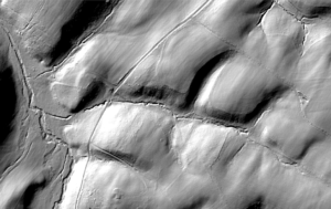 This image shows the shaded relief from a LiDAR digital elevation model of some headwater streams. In the image, you can see channels, but they appear to be discontinuous in many places and very similar to roadways. Credit: Matthew Baker.