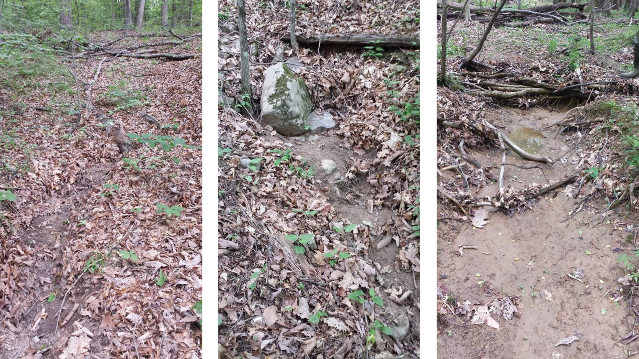 Pictured are three different stream heads. On the left is a flow wash, where leaves have been removed by concentrated flow. The next two are heads with distinct topographic steps, one associated with a boulder and the other associated with tree roots. The first two are difficult to map accurately unless they have well defined stream banks, whereas the third is relatively straightforward.