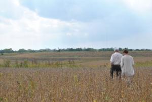 Herbstritt and Richard walking through a soybean/grass field in Iowa.