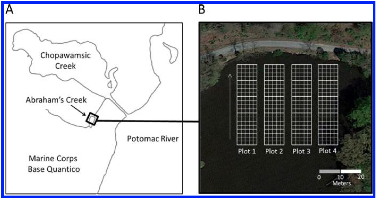 Figure 1 from their recently published paper shows their 4 test plots in Abraham's Creek. 