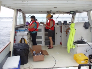 Preheim and students taking samples at Chesapeake Bay Bridge in 2015. Credit: Sarah Preheim