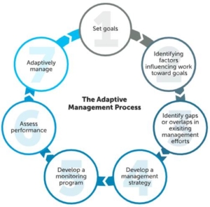 The adaptive management cycle implemented by the Chesapeake Bay Program partnership.