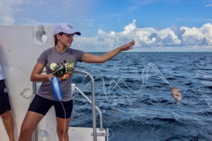 As part of the career development program, Emily participated in the University of Miami’s Shark Research and Conservation Program in July 2017.
