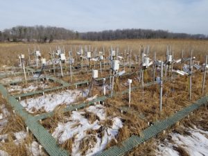 Heated plots after snowfall. The snow has melted off the heated plots, whereas the rest of the marsh (and the ambient temperature plots) are still covered. (Credit: Gary Peresta)