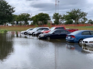 Cars in a flooded lot