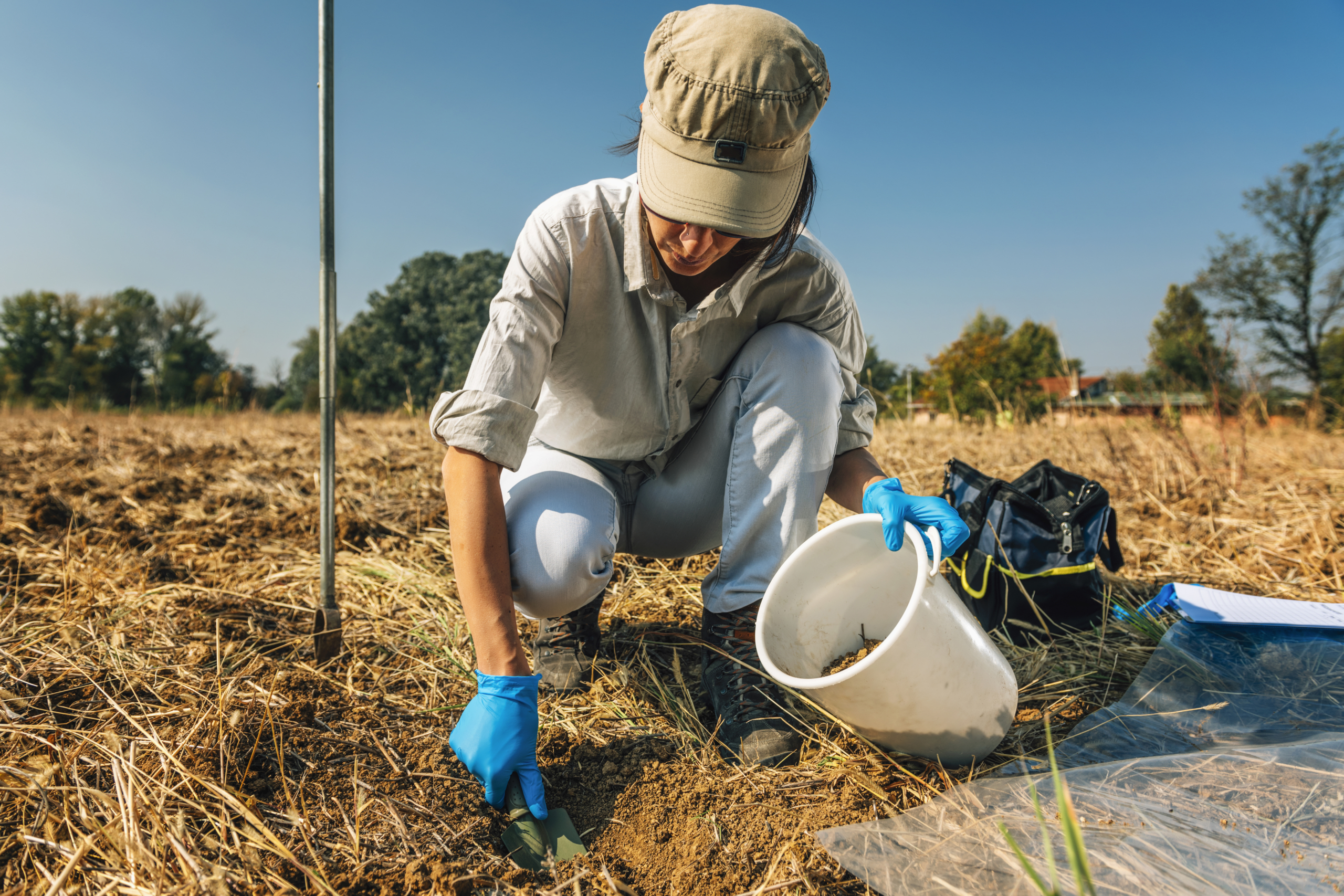 Soil Fertility Analysis. Female Agronomist Taking Soil Samples